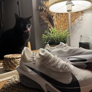Submitted by gregh323111479