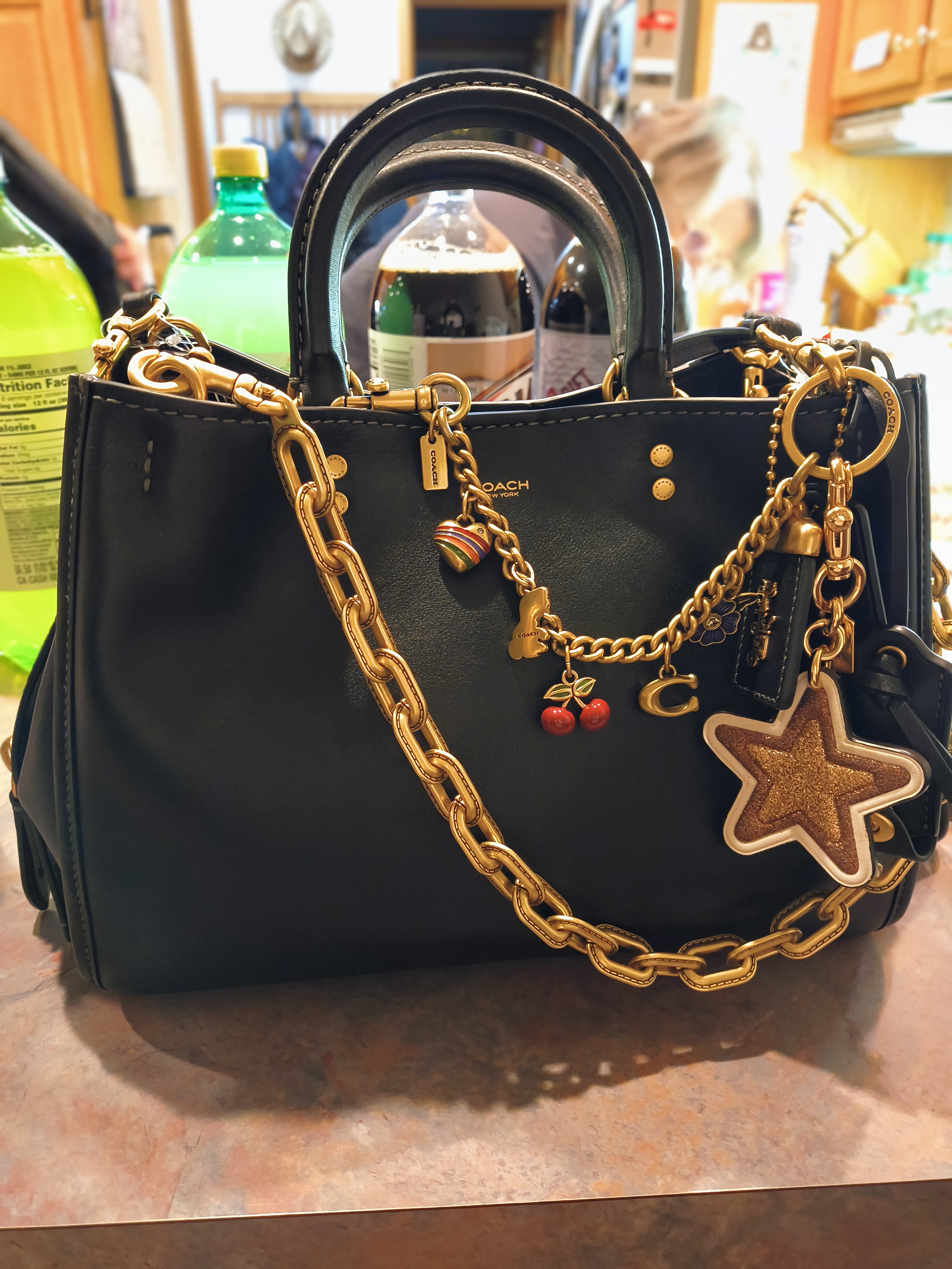COACH ローグ Rogue Bag 31 | Bags | Coach | COACH®