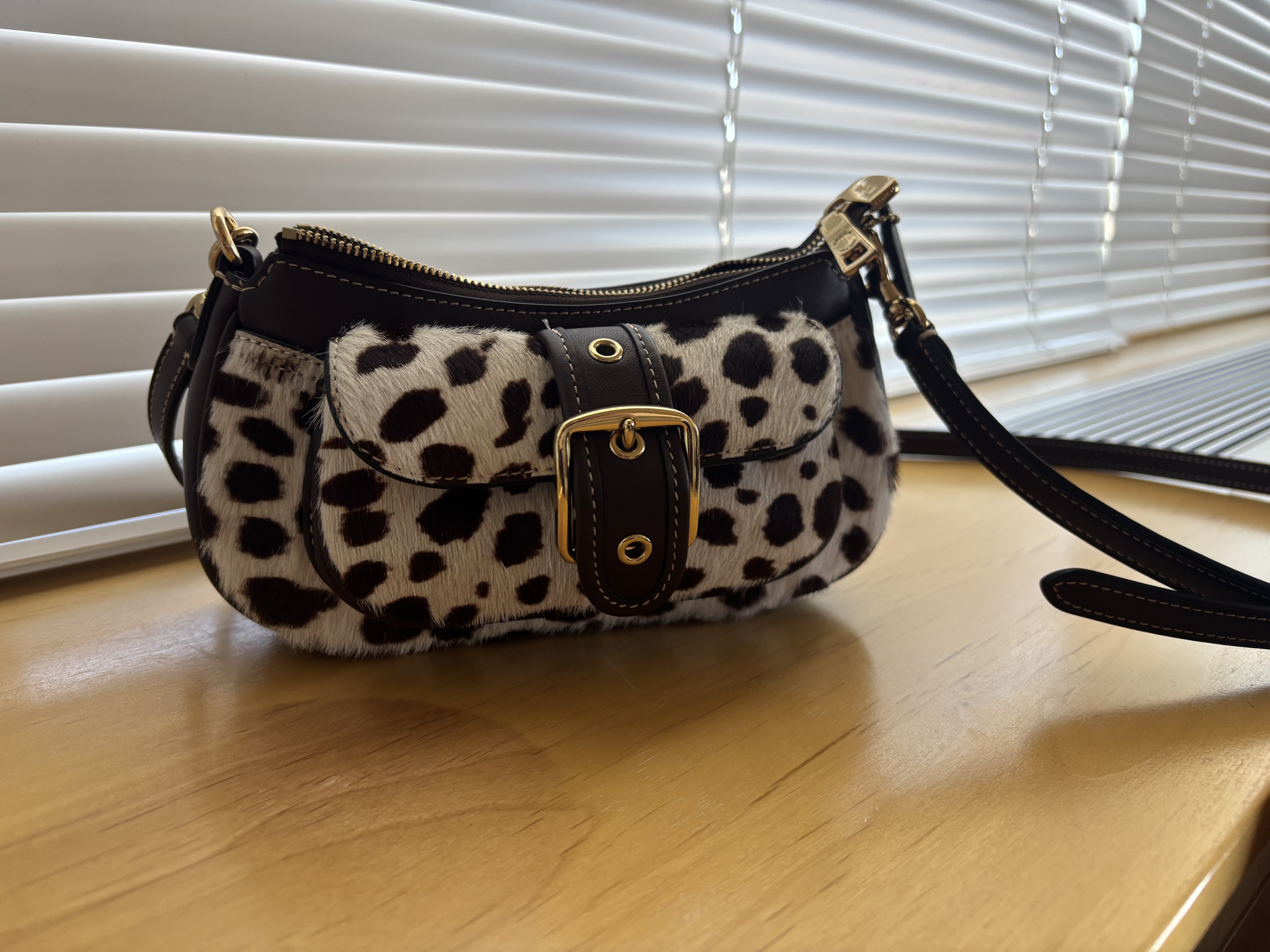 Ashton Mini Shoulder Bag In Signature Leather | Bags | Coach | COACH®