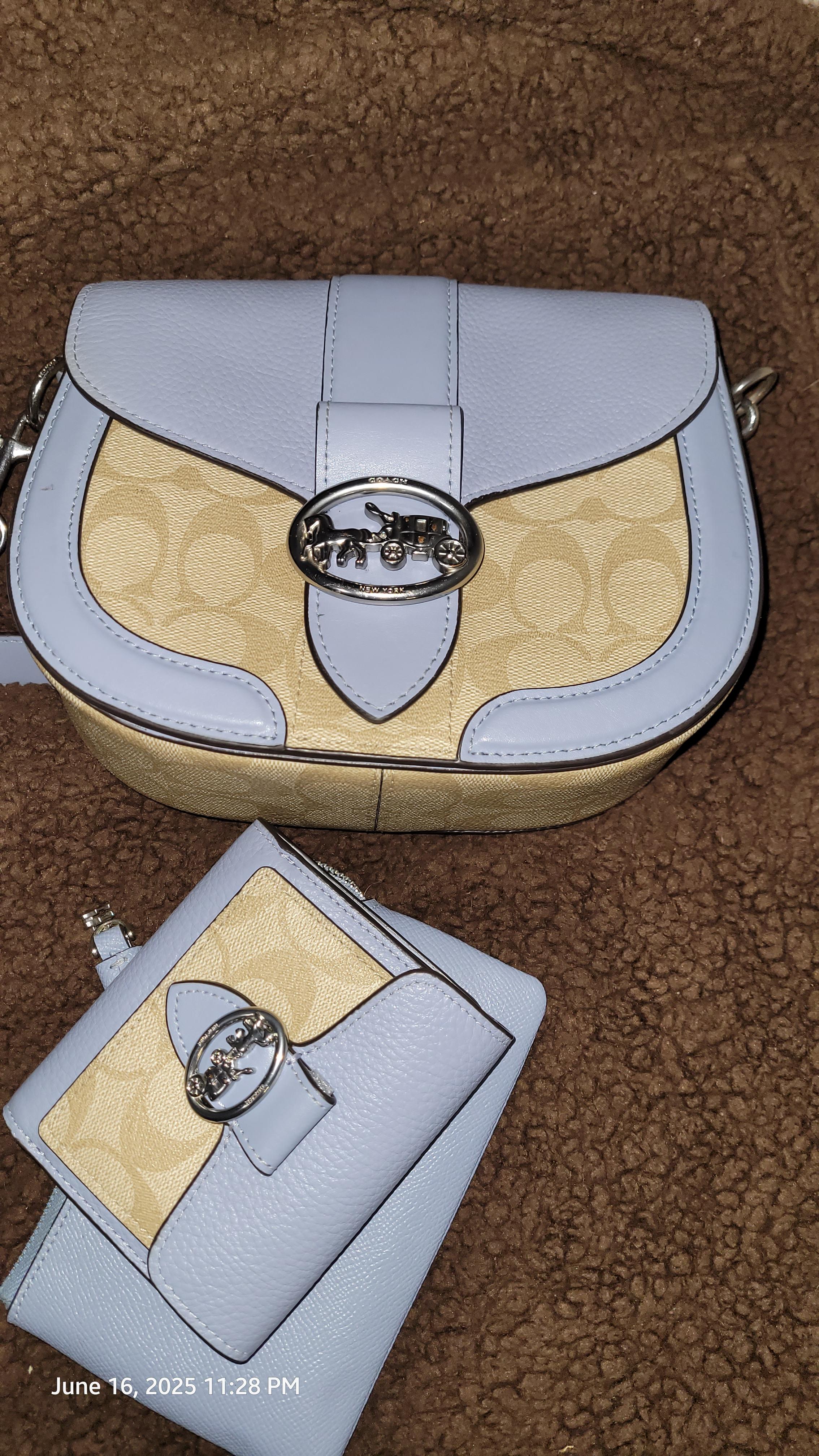 Georgie Saddle Bag | COACH®