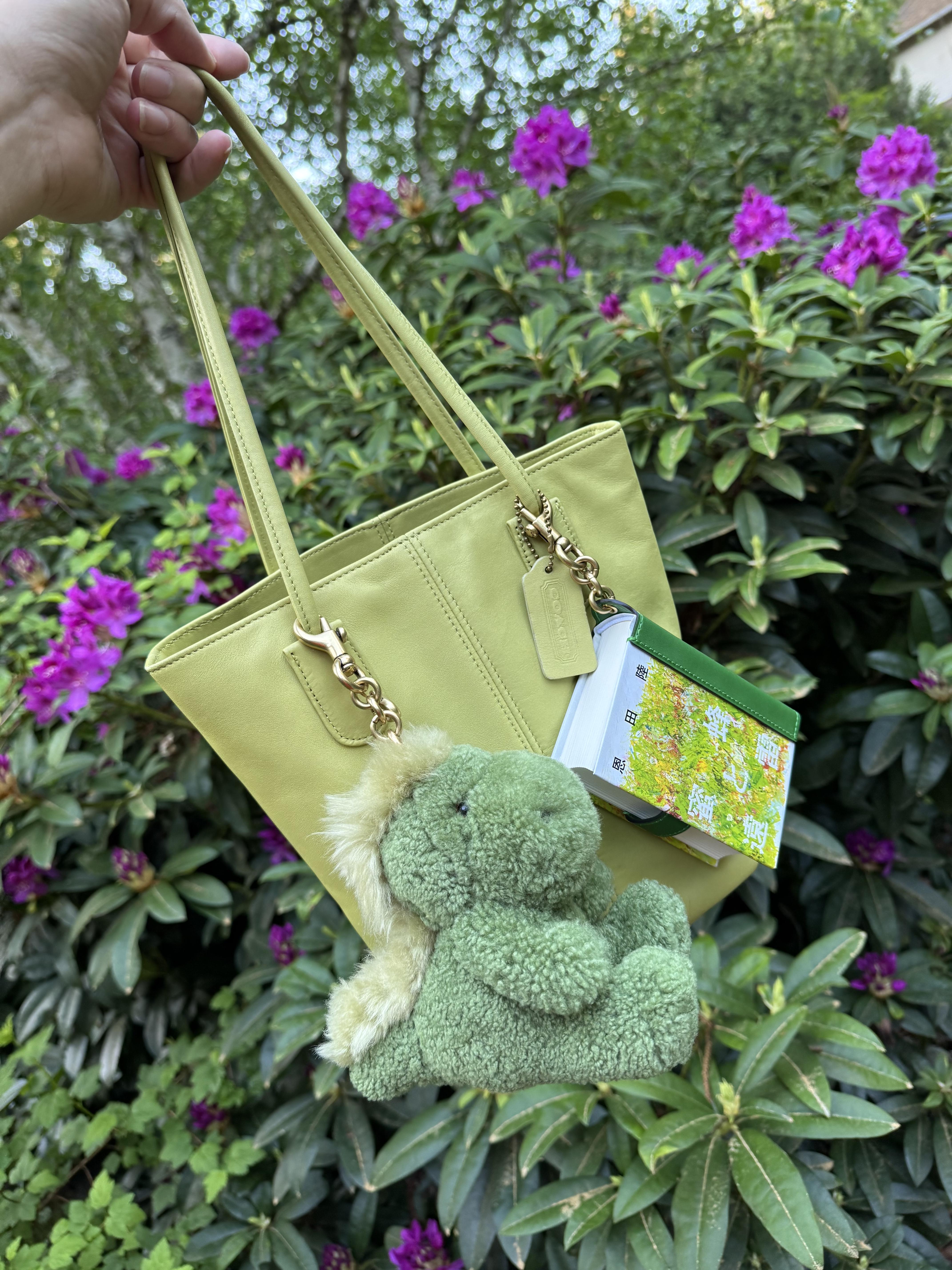 Honeybees And Distant Thunder By Riku Onda Book Bag Charm
