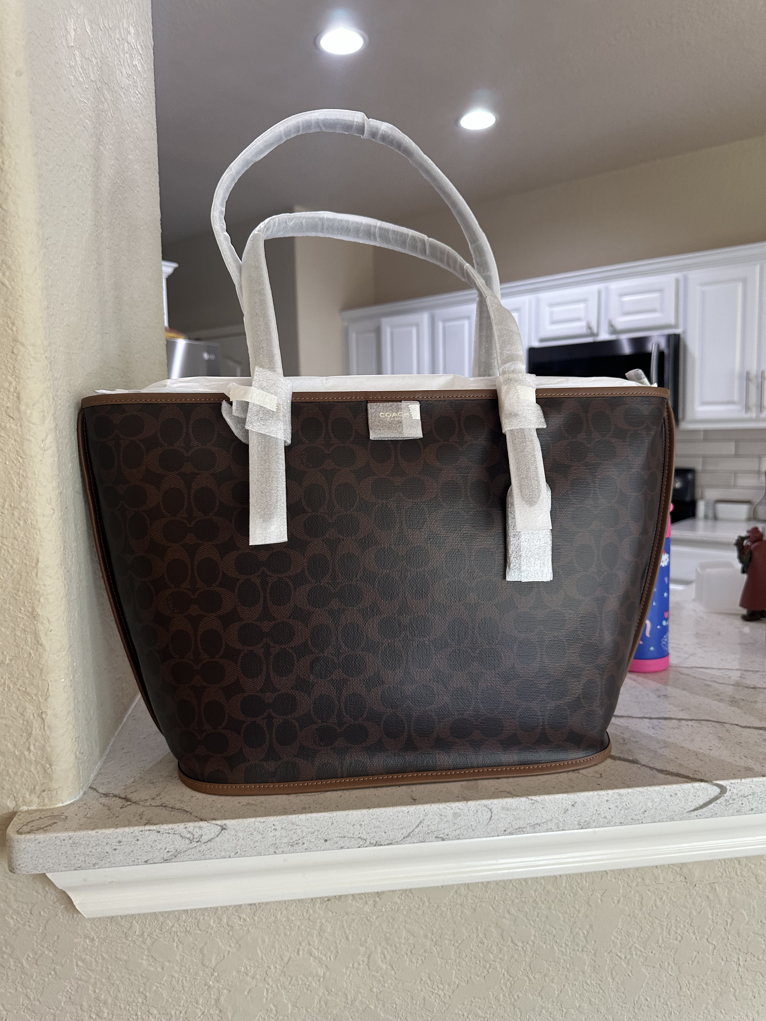 Taxi Tote Bag In Signature Canvas | COACH®