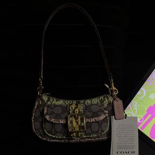 Ashton Mini Shoulder Bag In Signature Leather | COACH®