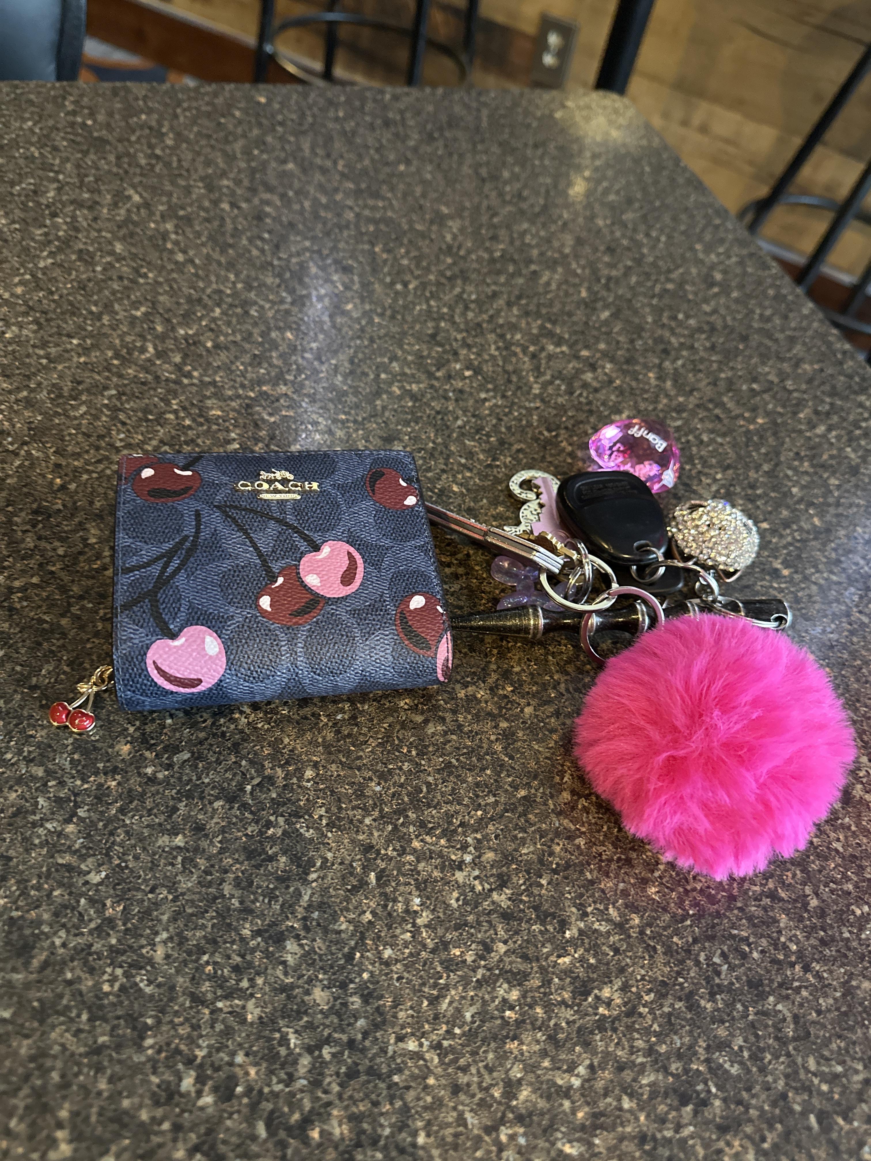 Snap Wallet With Holiday Bells Print | COACH®