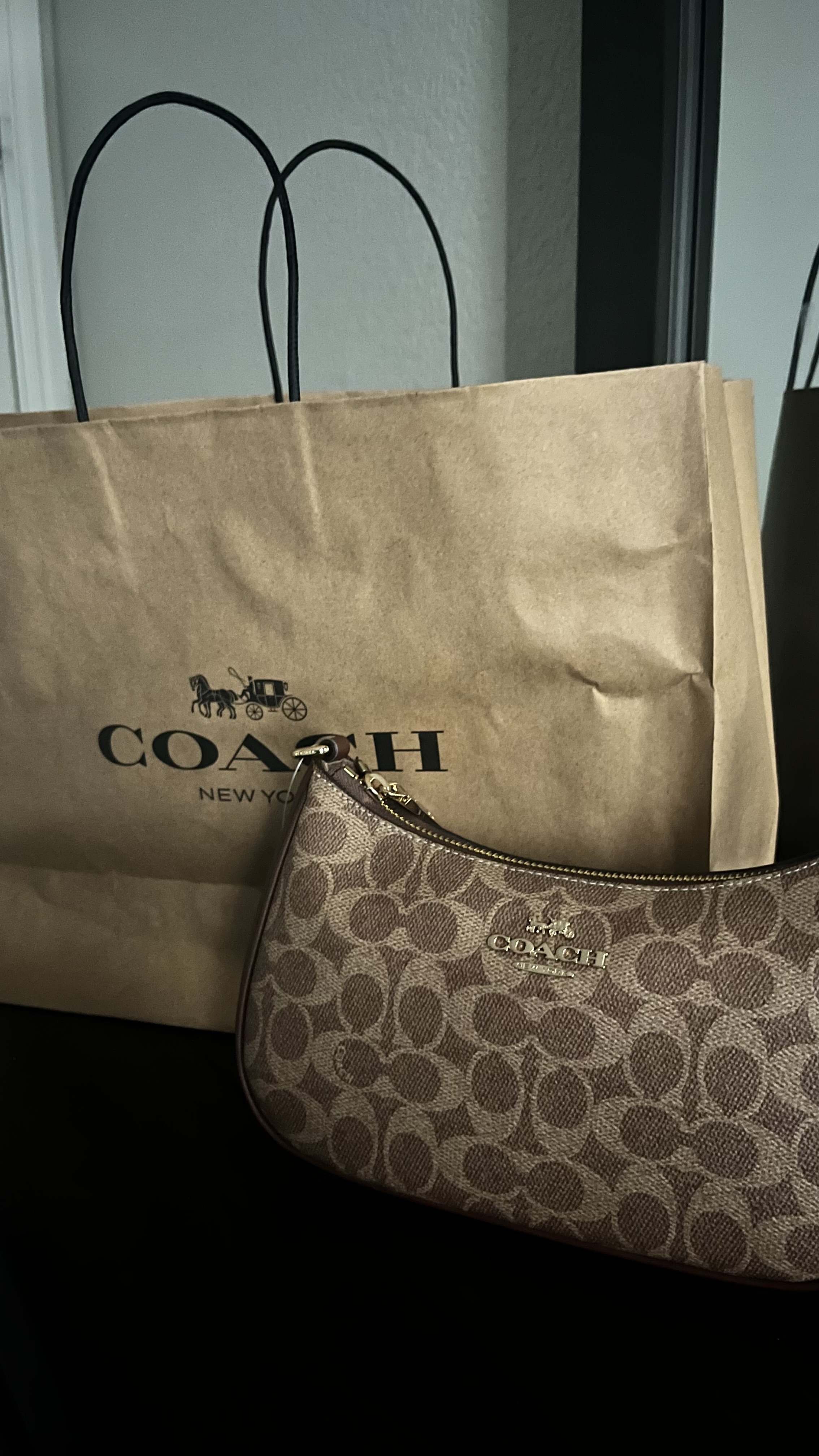 Teri Shoulder Bag In Signature Canvas | Bags | Coach | COACH®