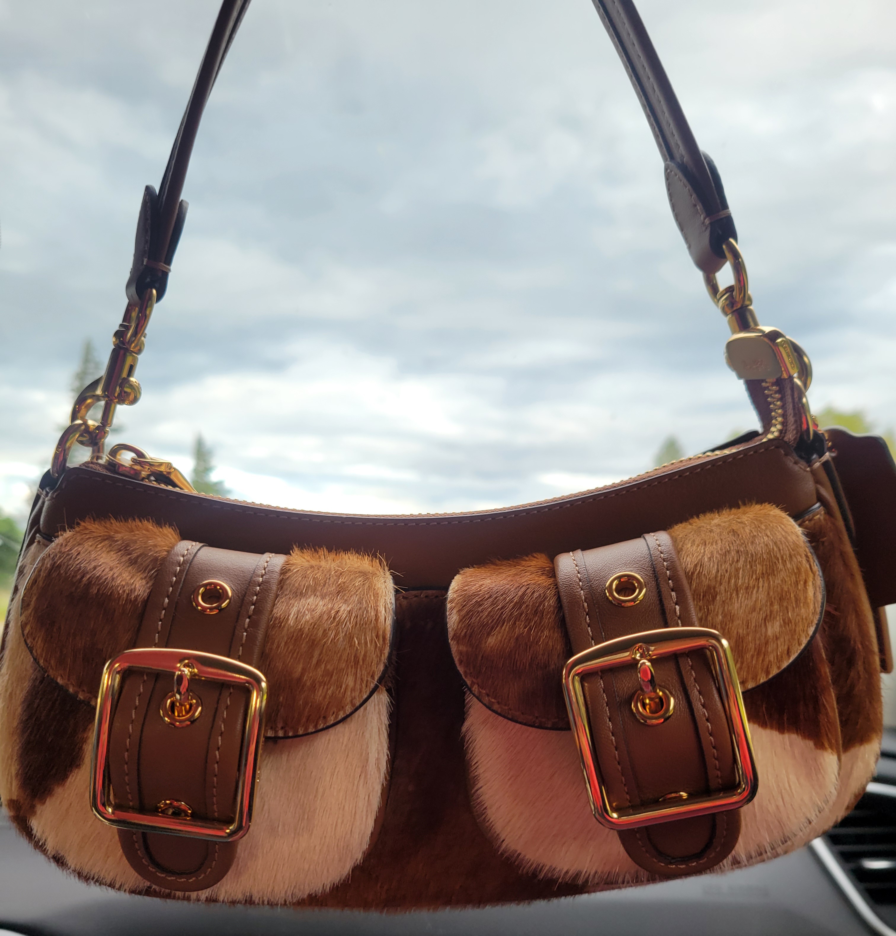 Ashton Bag | Bags | Coach | COACH®