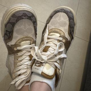 Soho Sneaker With Cherries | Other Shoes | Coach | COACH®