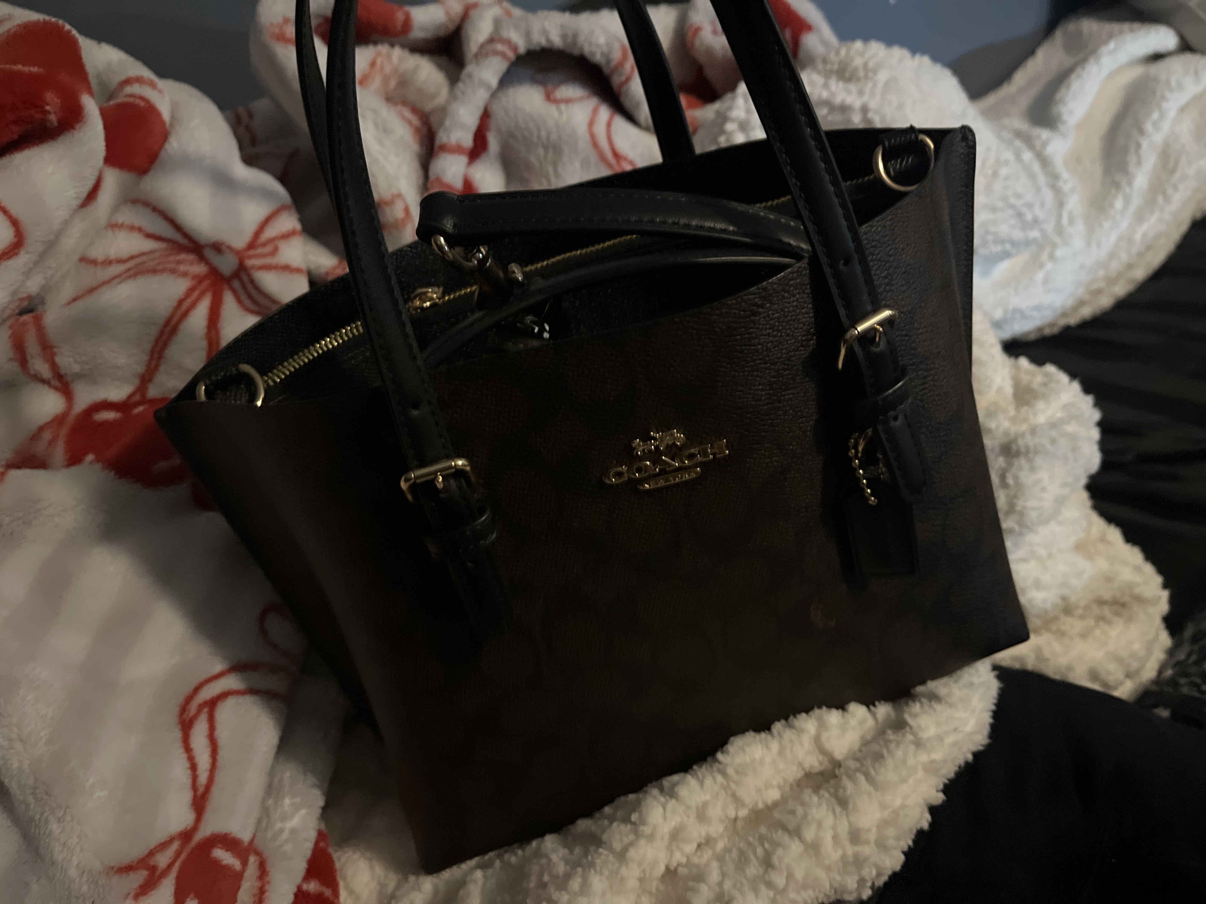 Mollie Tote Bag 25 | Bags | Coach | COACH®