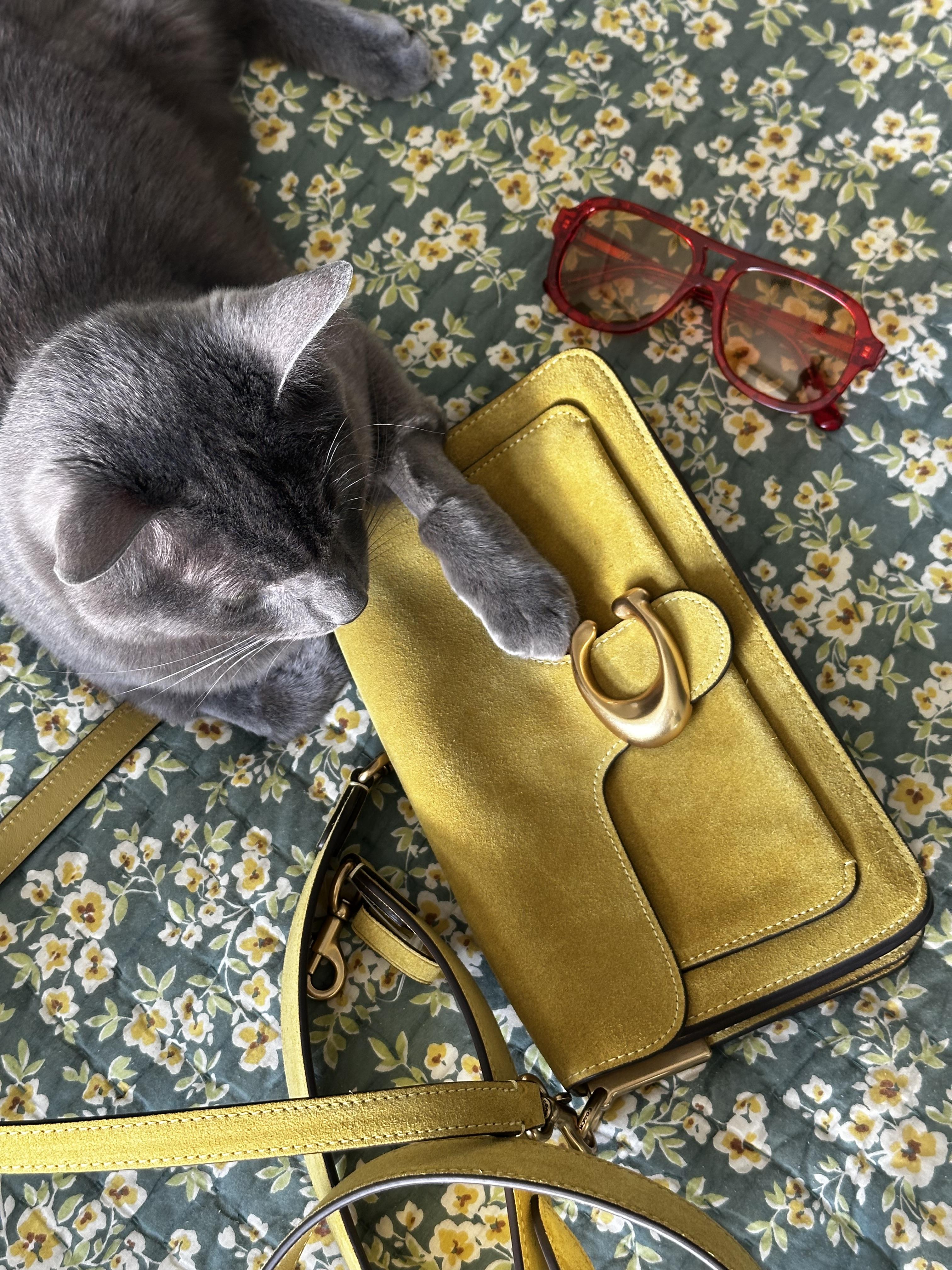 Tabby Shoulder Bag 26 With Floral Applique | Bags | Coach | COACH®
