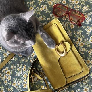 Tabby Shoulder Bag 26 With Floral Applique | Bags | Coach | COACH®