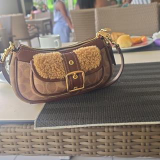 Ashton Mini Shoulder Bag In Signature Jacquard | COACH®