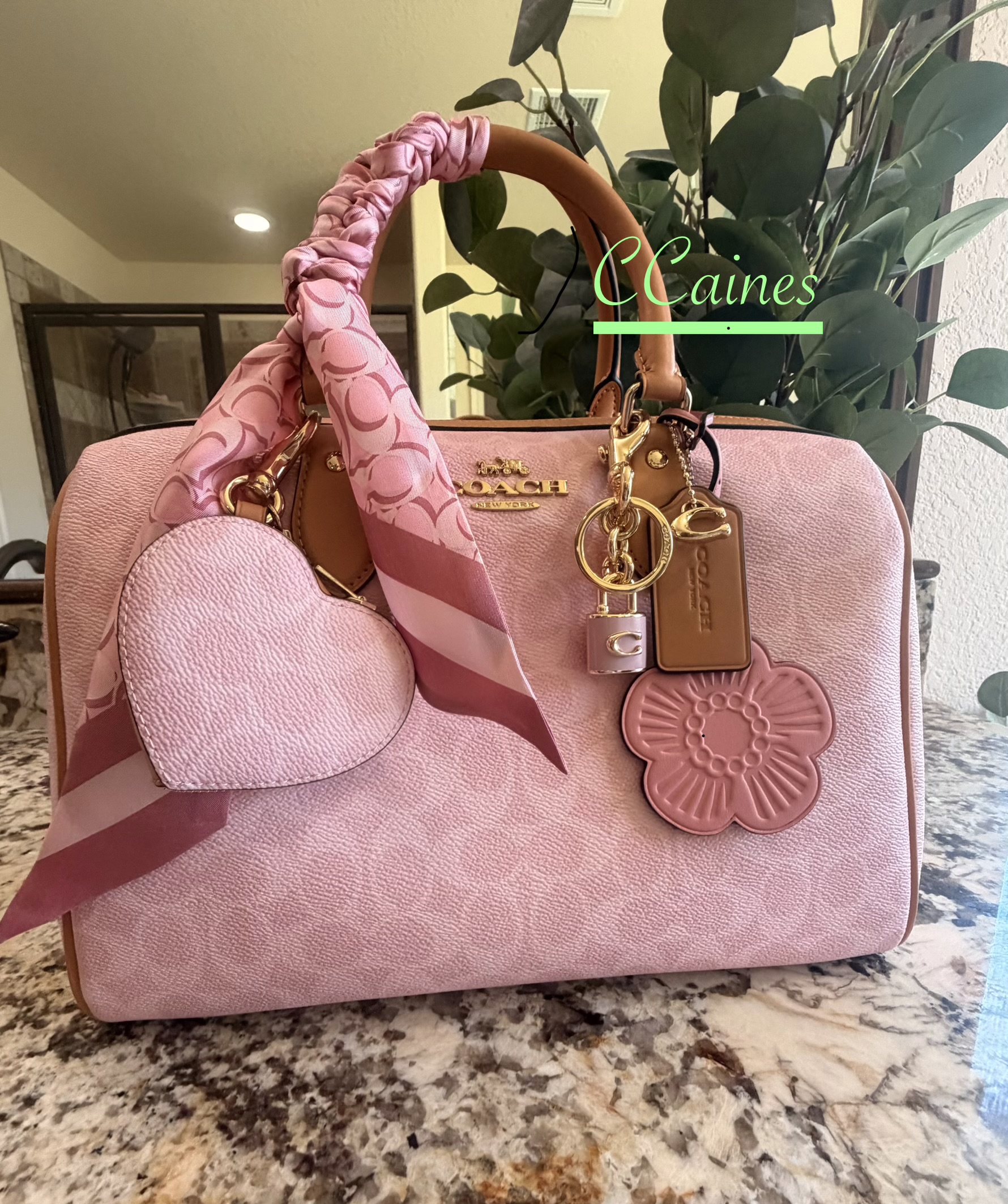 Rowan Large Satchel Bag In Signature Canvas With Charms | Bags