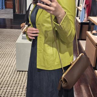 Kisslock Frame Bag 30 | Bags | Coach | COACH®