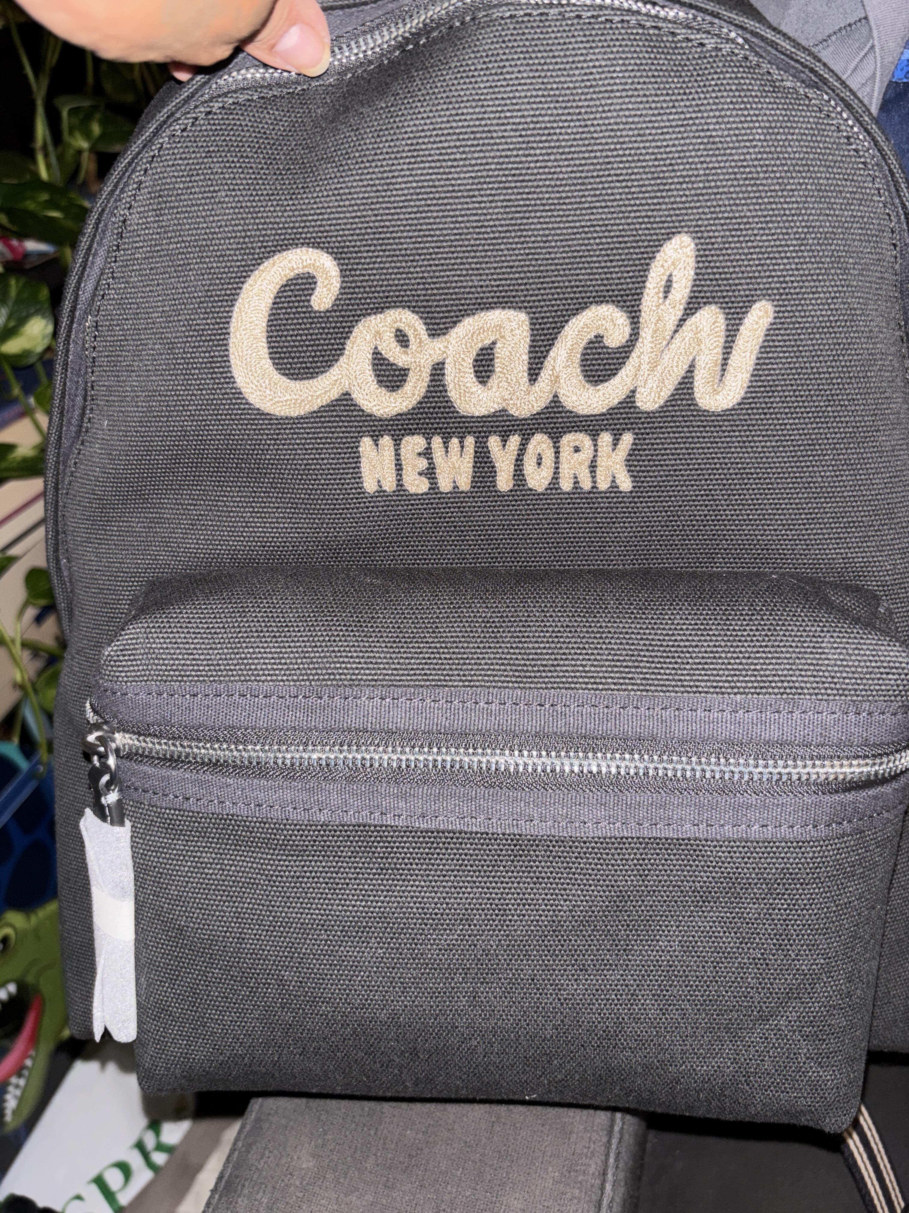 Taylor Backpack In Signature Canvas With Stripes | COACH®