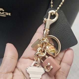 Key Cluster Bag Charm | COACH®