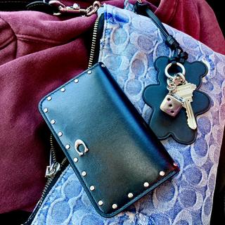 Pouch In Signature Canvas | Bags | Coach | COACH®