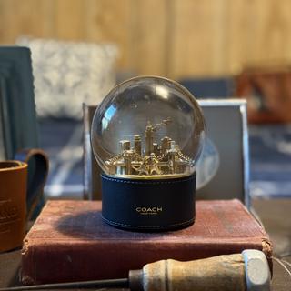 Snow Globe With Rexy And Snowman | Accessories | Coach | COACH®
