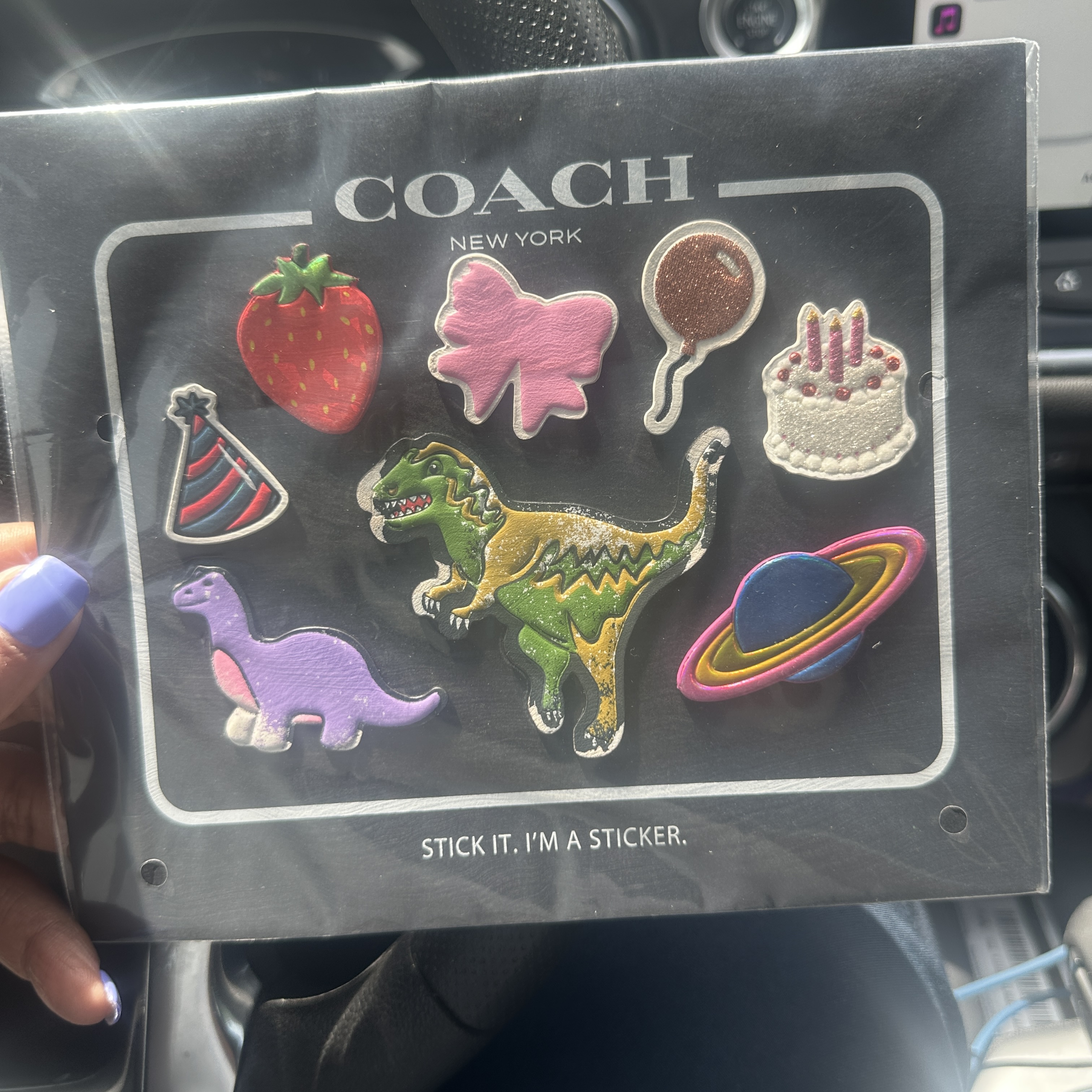 Rexy 10th Birthday Sticker Set | Accessories | Coach | COACH®