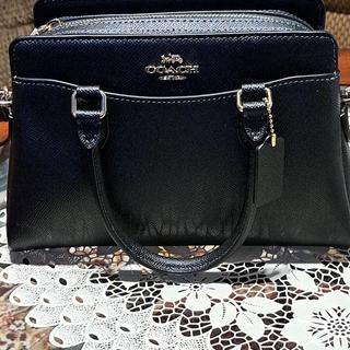 Agil Wulandariコーチ ミニダーシー　シグネチャー黒CM050 Mini Darcie Carryall Bag In Signature Canvas With Floral Applique