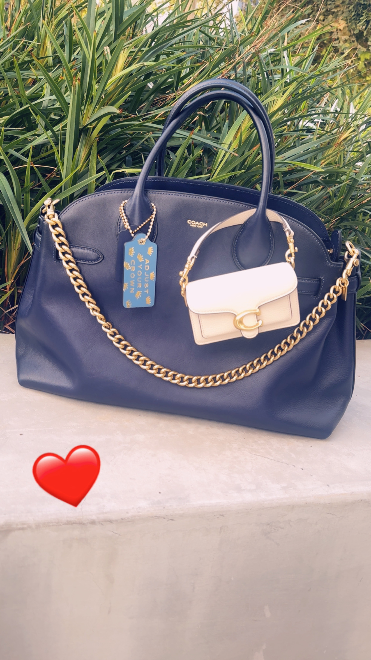 COACH® | Tabby Bag 12