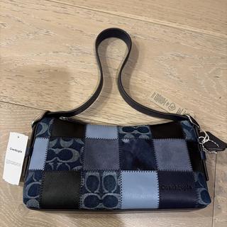 Alter/Ego Small Slouchy Shoulder Bag | Coachtopia ™