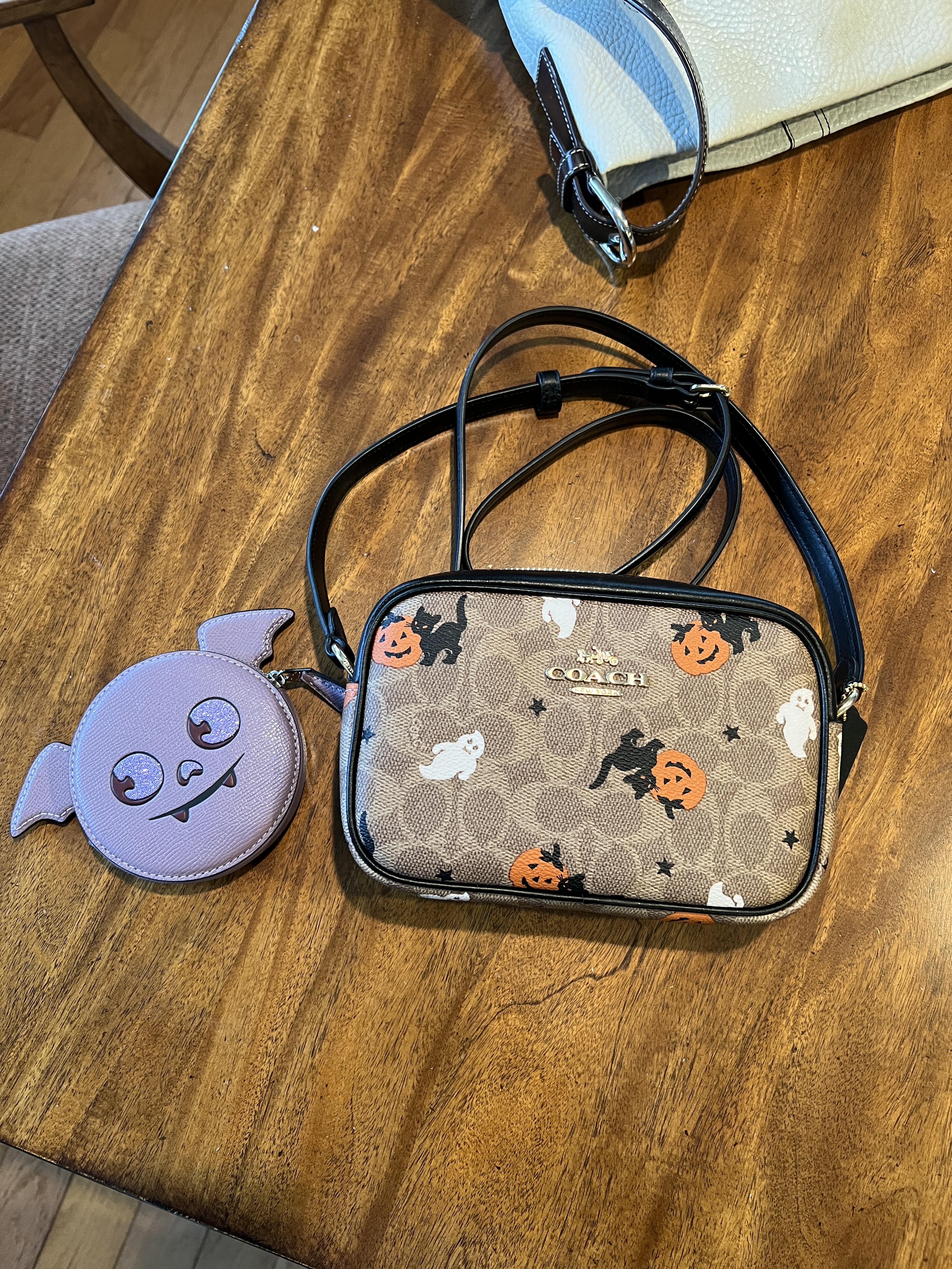 Rexy Coin Case In Colorblock | COACH®