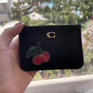 Restored Mini Skinny ID Case With Zebra Print | COACH®