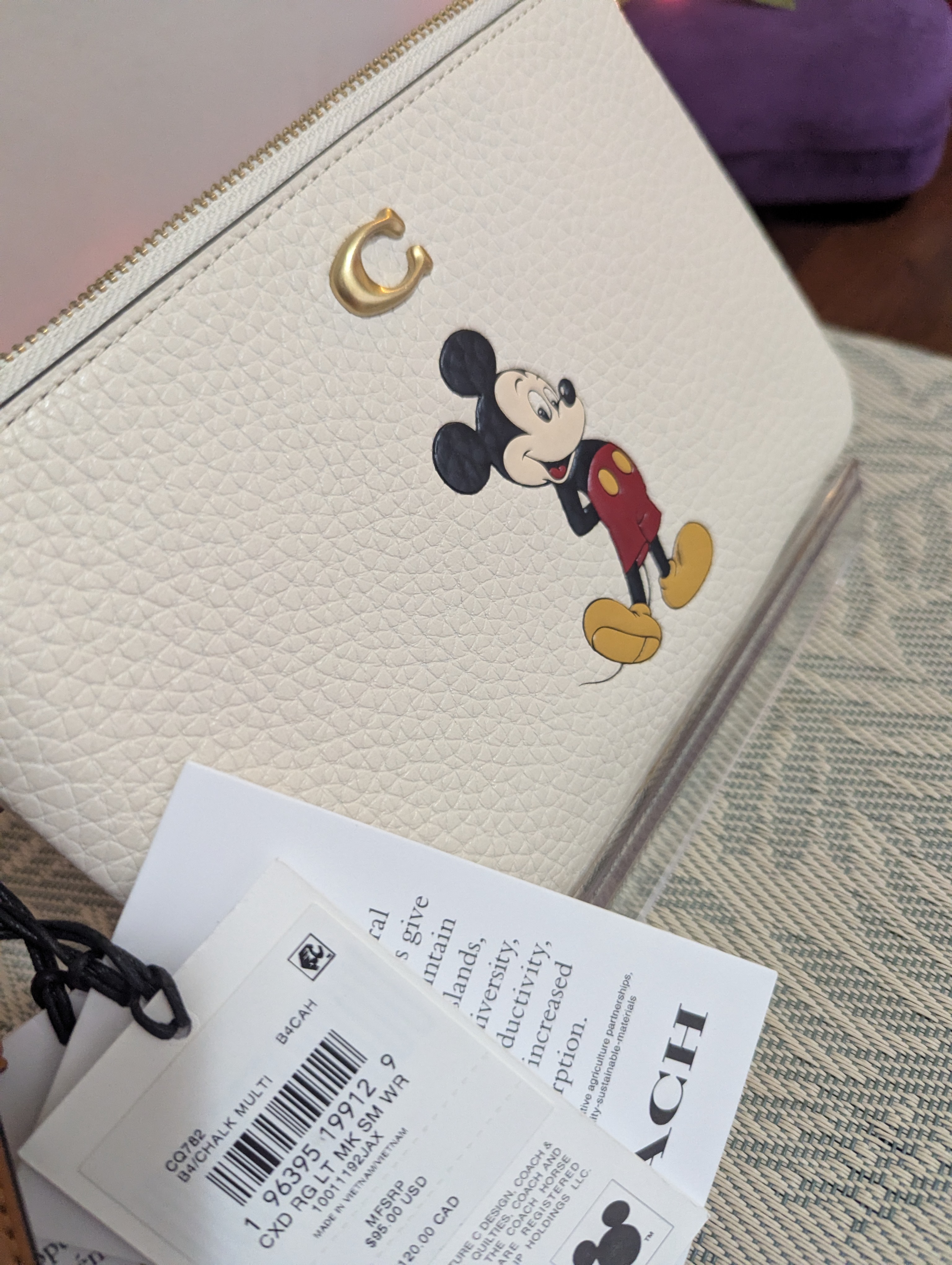 Disney X Coach Essential Small Wristlet With Pluto | Bags | Coach