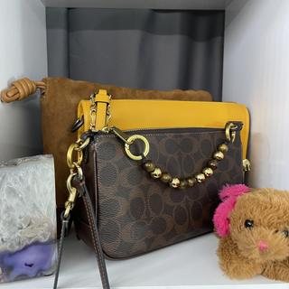 Coach | Brain Dead Plaza Bag In Signature Jacquard | Wristlets