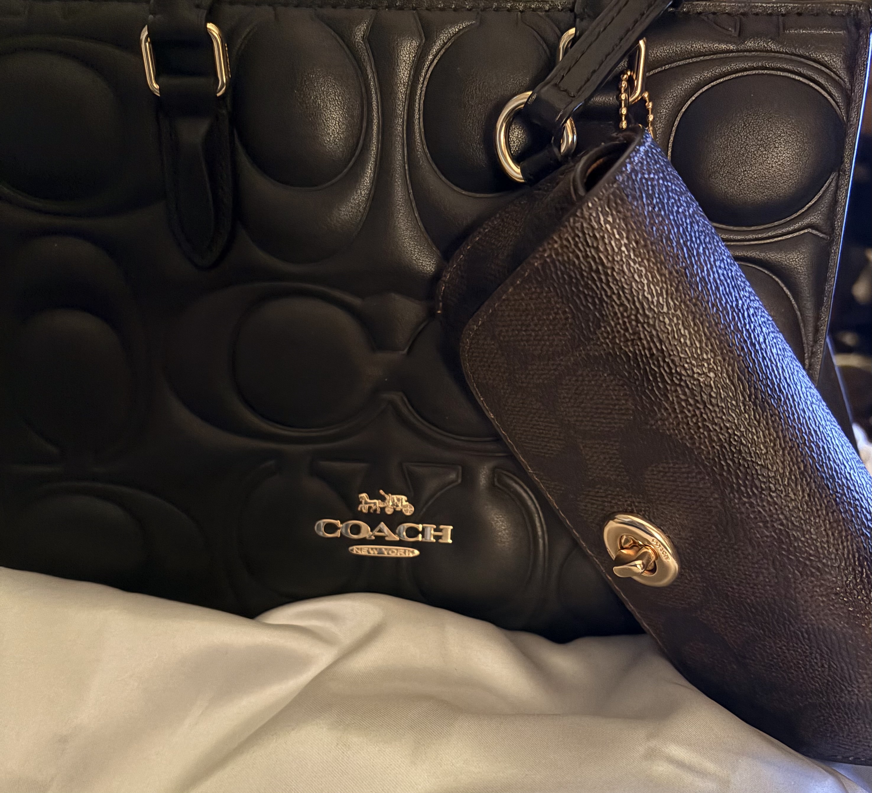 Sunglass Case In Signature Canvas | Accessories | Coach | COACH®