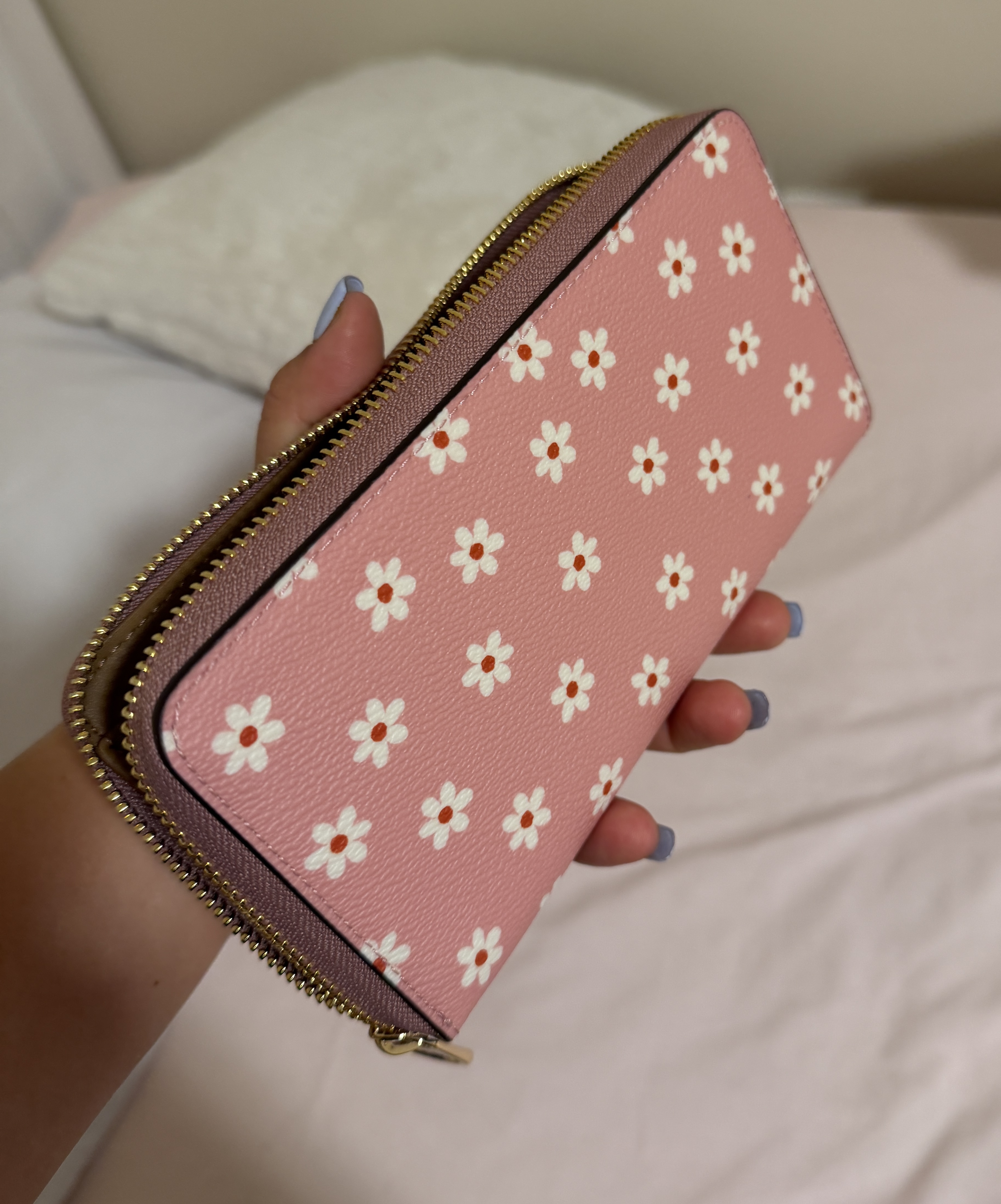 Long Zip Around Wallet In Signature Canvas With Coach Graphic