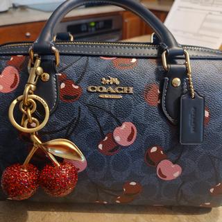 Crystal Cherry Bag Charm | Accessories | Coach | COACH®