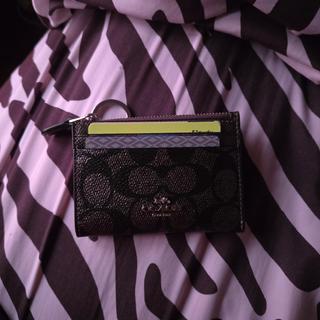 coach teri & skinny ID case くすみパープル NWT Coach Mini Skinny 