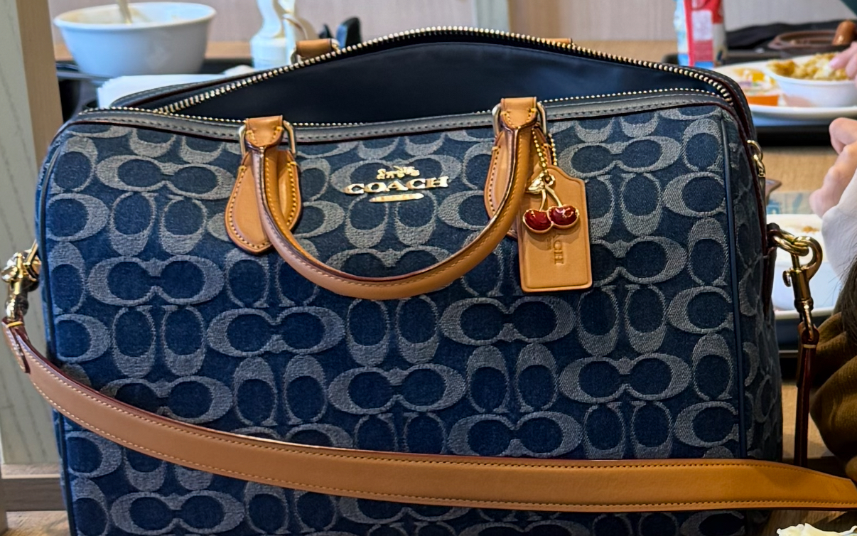 Rowan Large Satchel Bag In Signature Canvas | COACH®