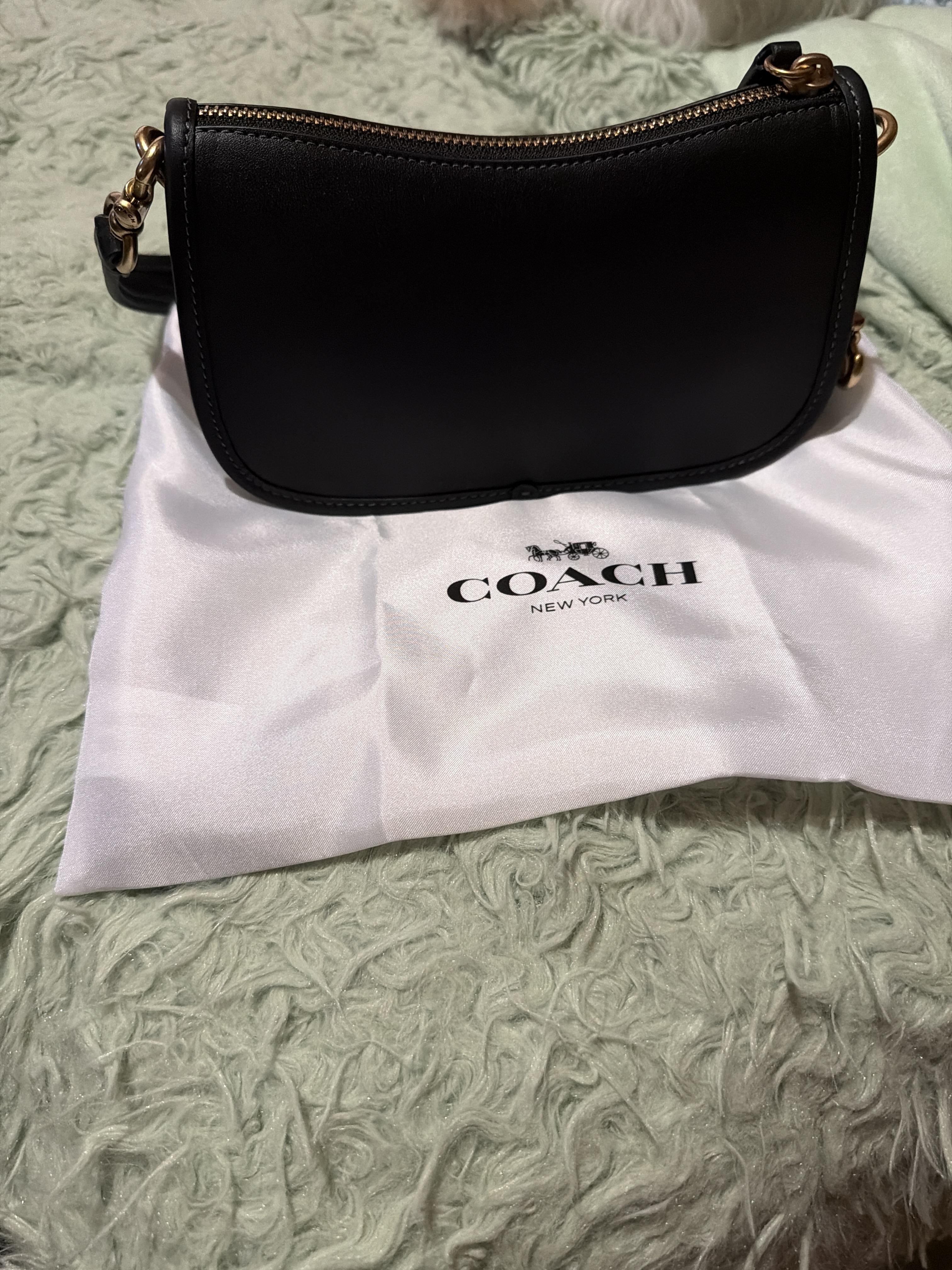 Swinger Bag 20 | Bags | Coach | COACH®