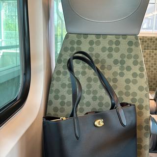 Restored Willow Work Tote 38 | COACH®
