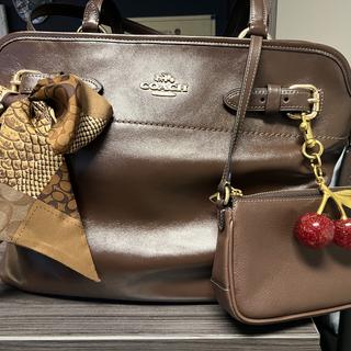 Rexy 10th Birthday Plaza Bag 18 In Loved Leather With Sticker