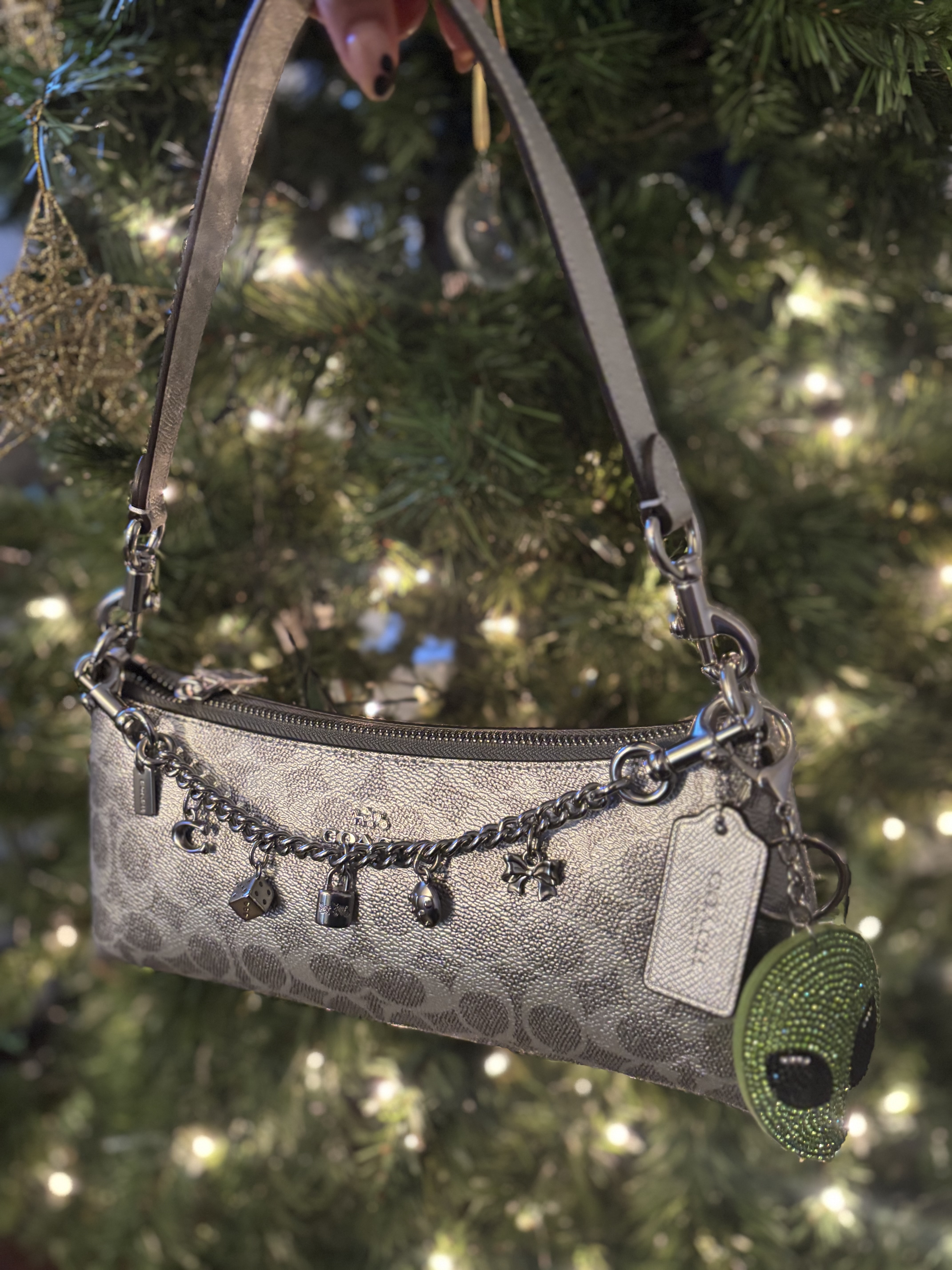 Charlotte Shoulder Bag With Star Print | COACH®