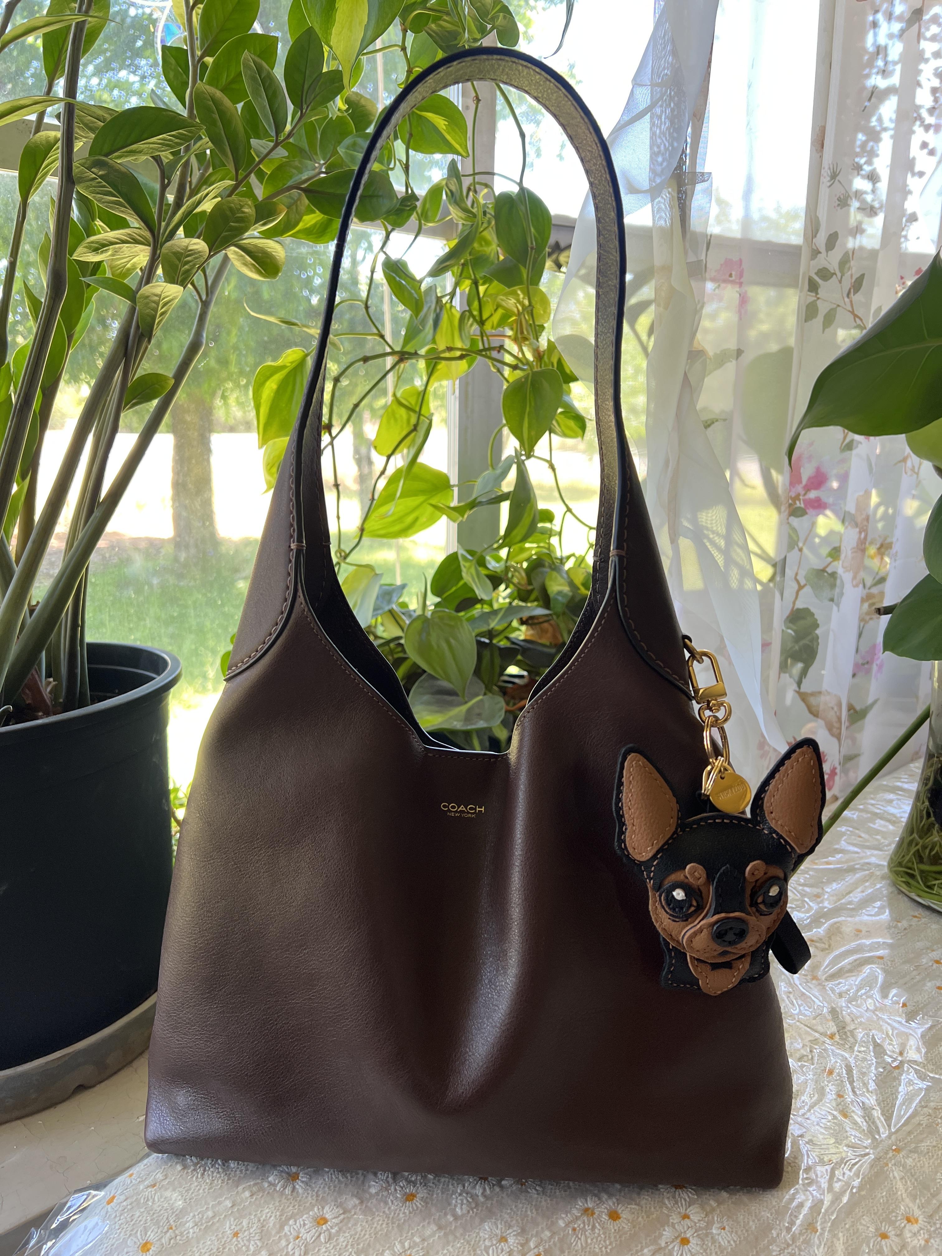 Coachtopia Alter/Ego Brooklyn Shoulder Bag 28 | Bags | Coach