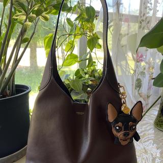 Coachtopia Alter/Ego Brooklyn Shoulder Bag 28 | Bags | Coach