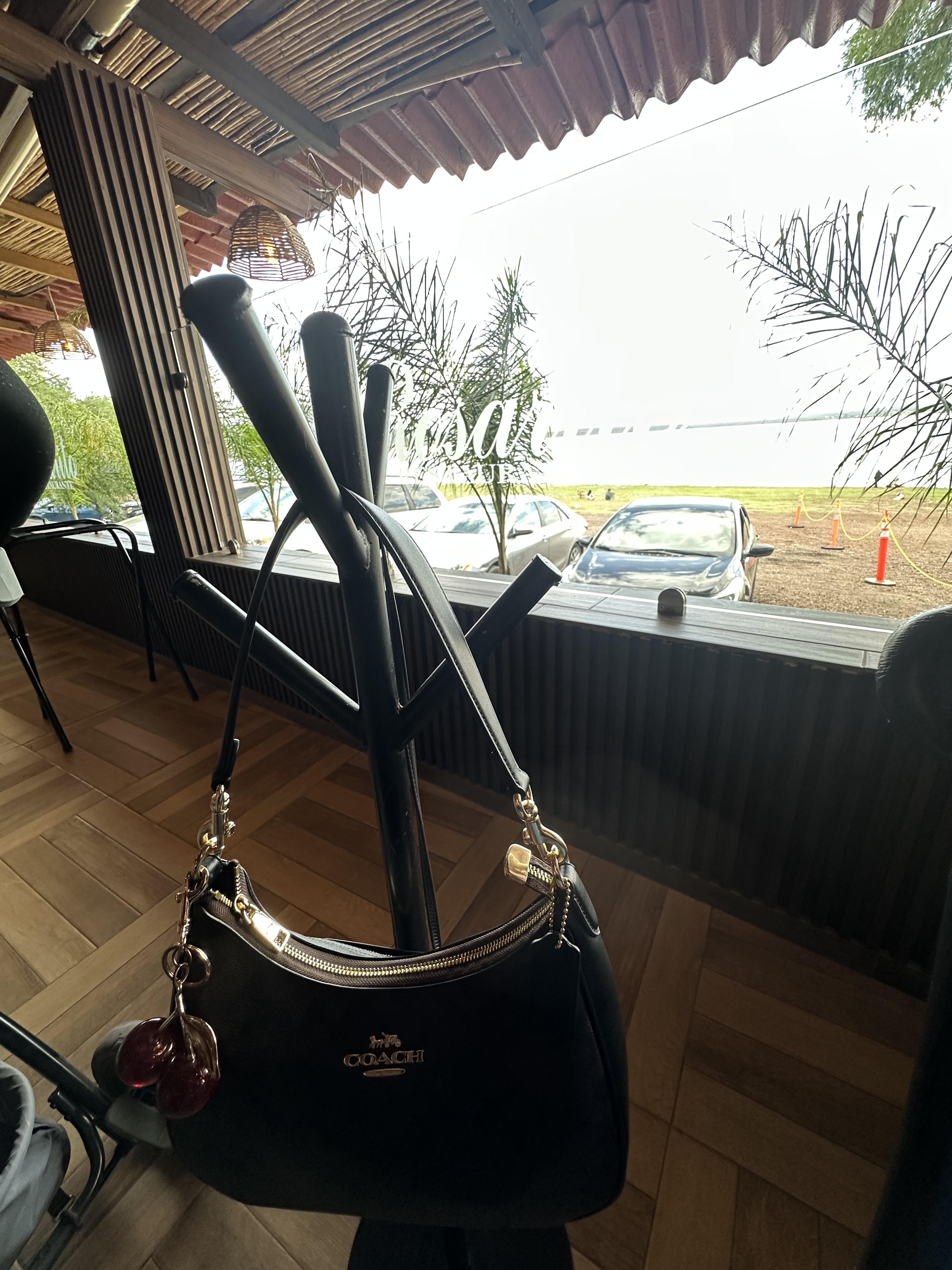 Teri Hobo Bag | Bags | Coach | COACH®