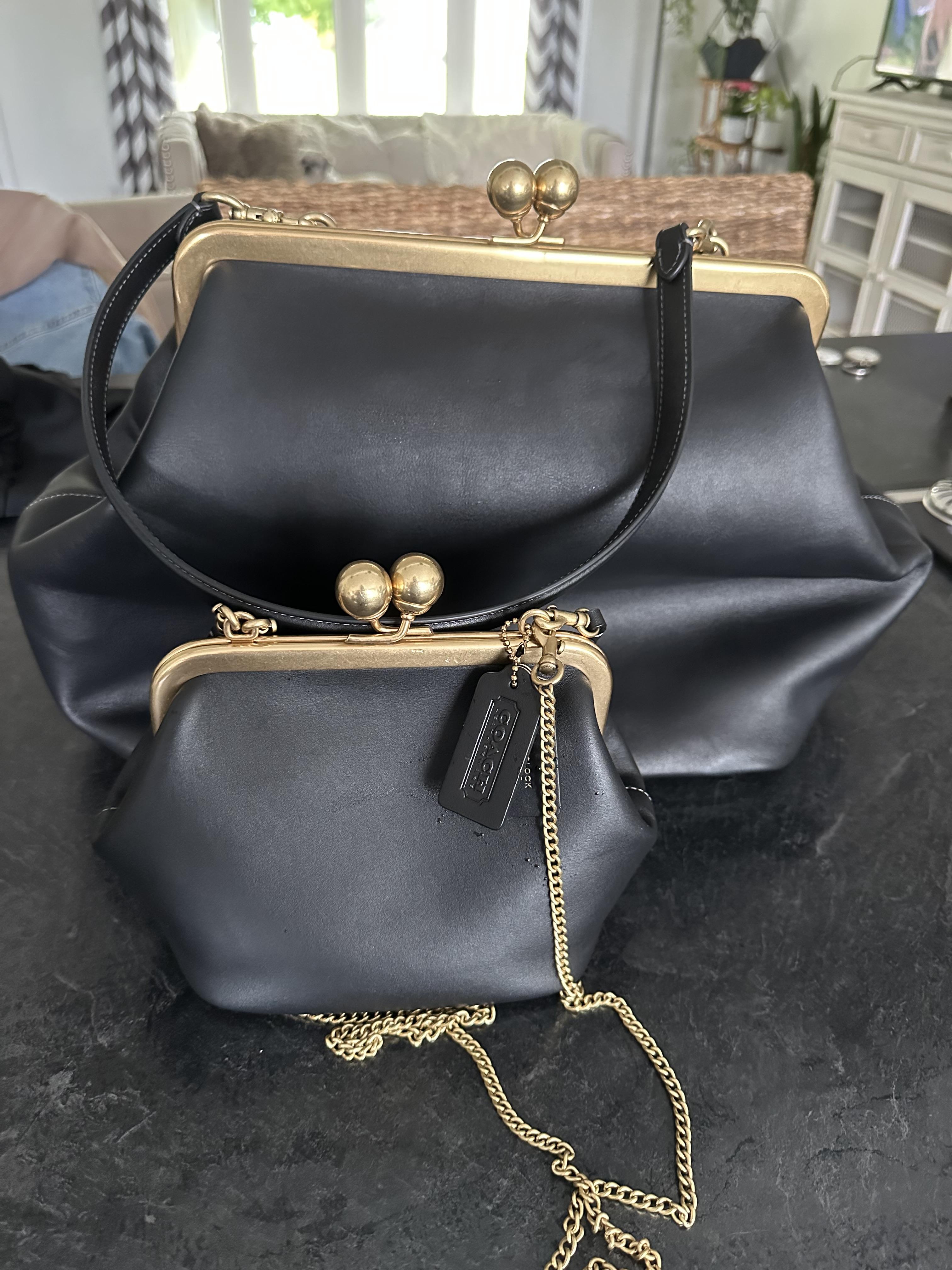 Disney X Coach Kisslock Frame Bag With Pluto | Bags | Coach | COACH®