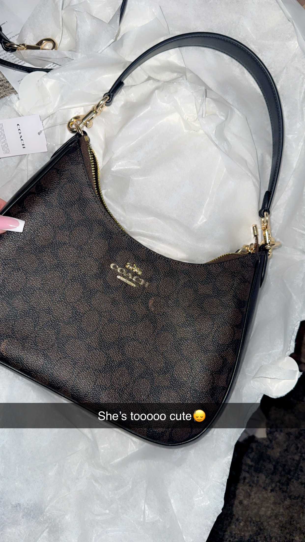 Teri Hobo Bag In Signature Canvas | Bags | Coach | COACH®