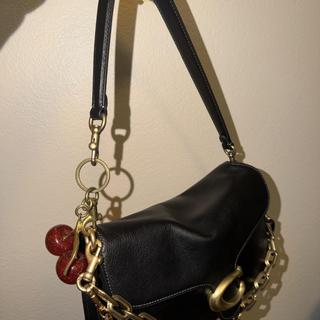 バッグ Coach Chain Shoulder Bag Leather 1258 COACH Chain Tabby