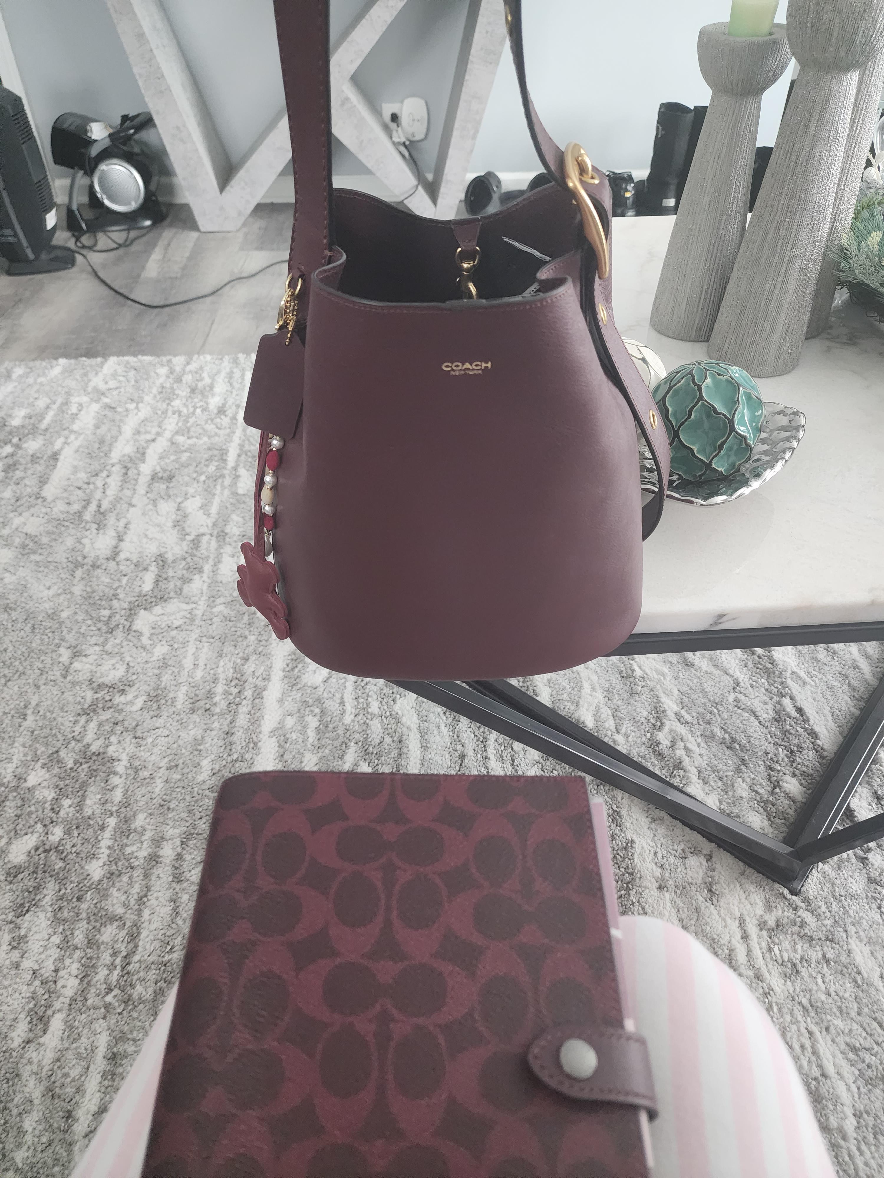 Bleecker Bucket Bag With Kisslock | COACH®
