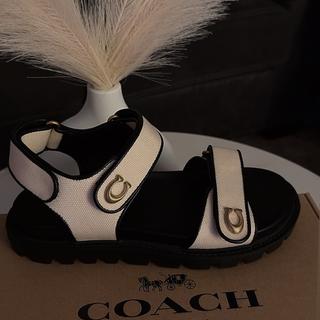 Brynn Sandal With Leopard Print | Other Shoes | Coach | COACH®