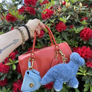 Rexy 10th Birthday Buddy Dinosaur Bag Charm In Shearling