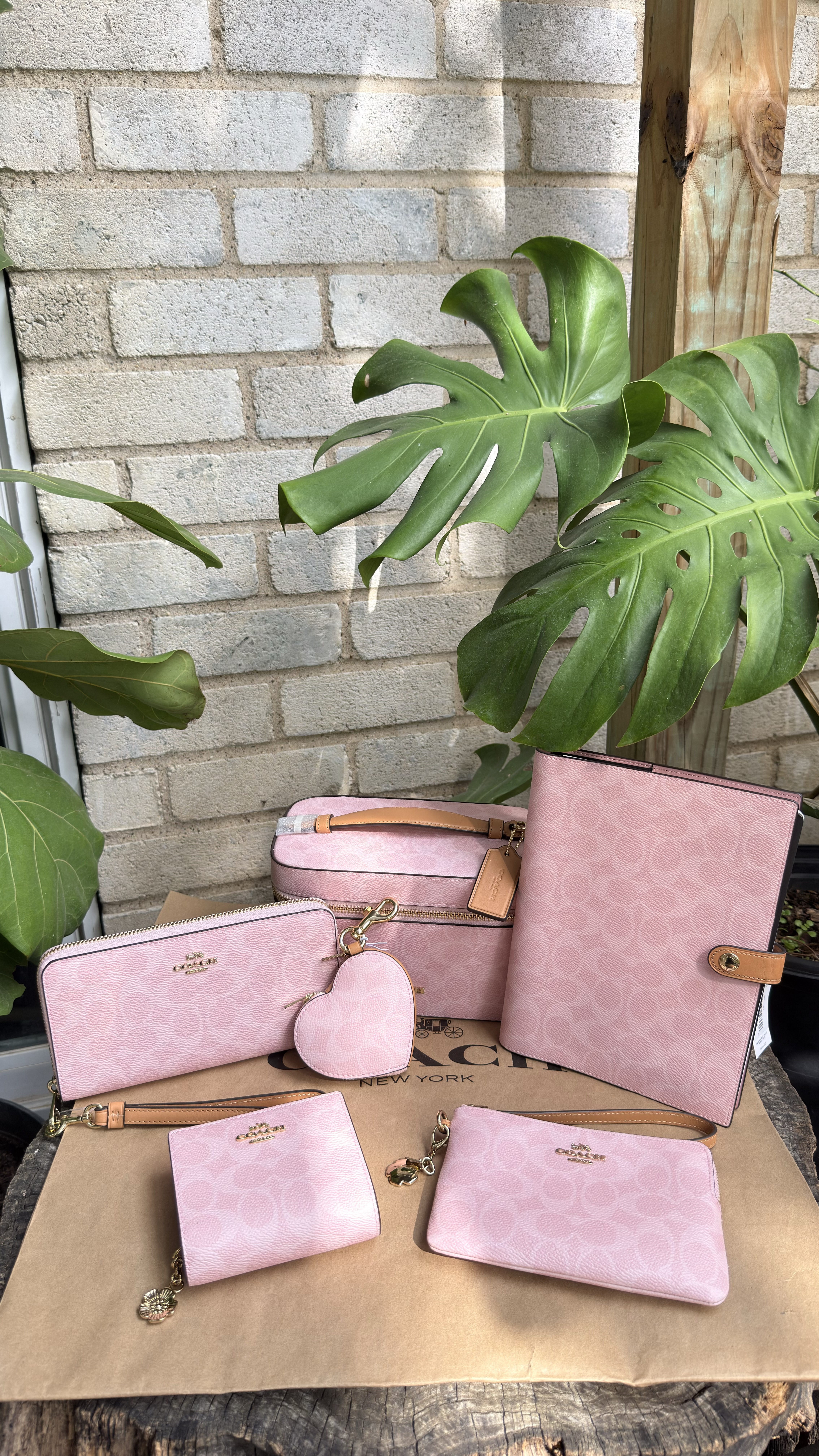 Snap Wallet With Rivets | COACH®