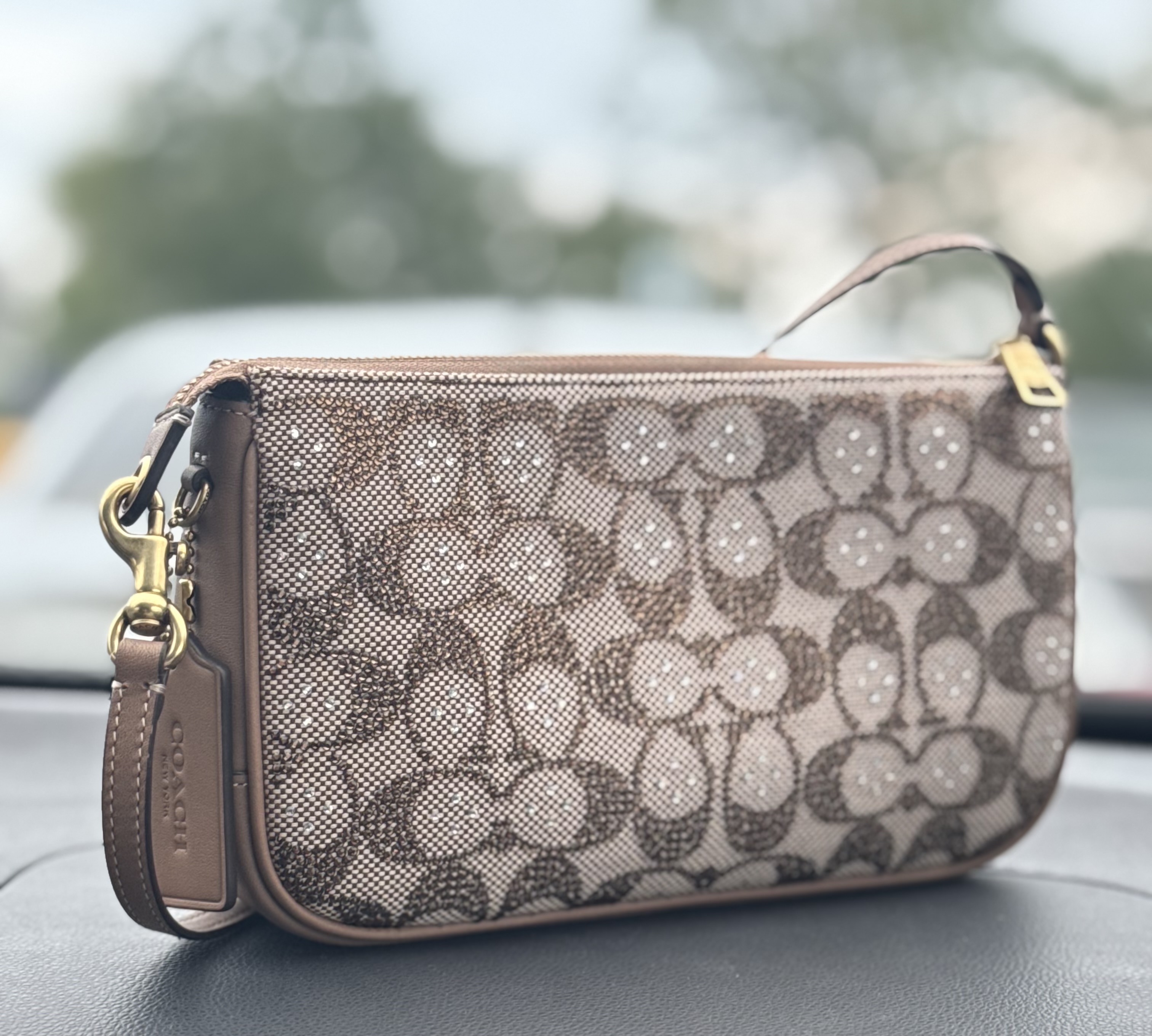 Coach | Brain Dead Plaza Bag In Signature Jacquard | Wristlets