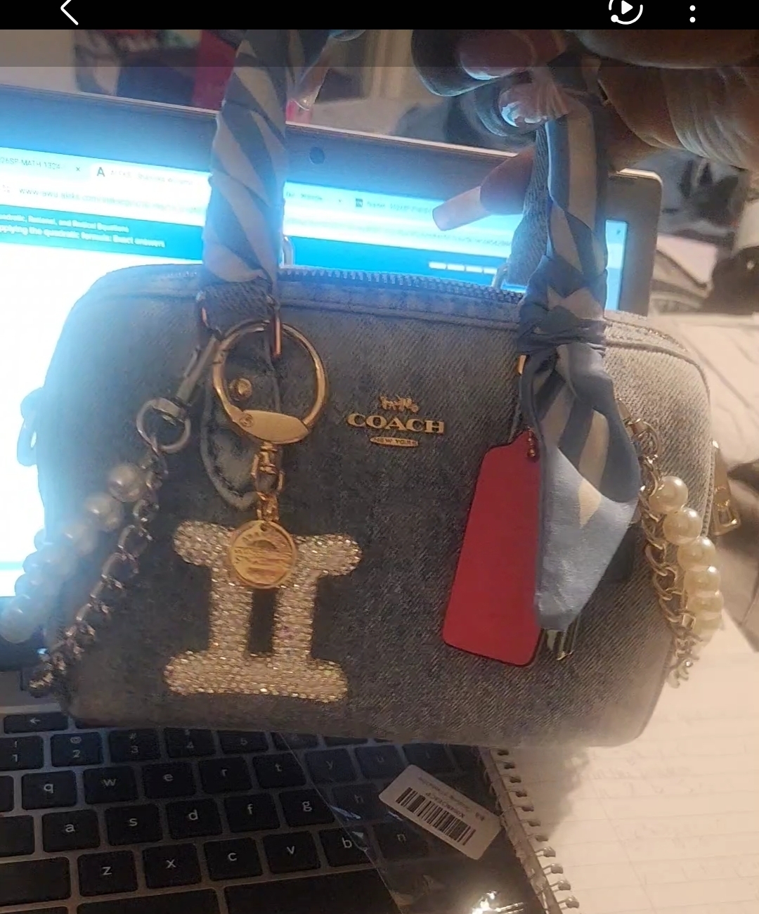 Mini Rowan Crossbody Bag In Signature Canvas With Charms | Bags